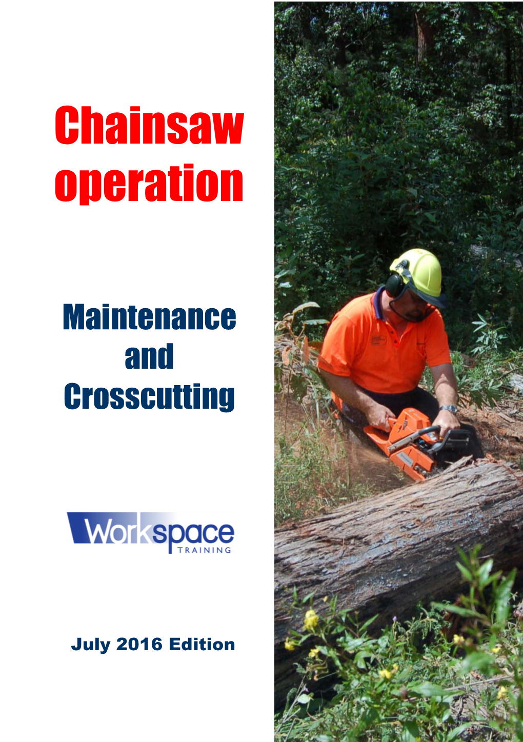 Chainsaw Operation