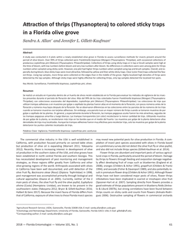 (Thysanoptera) to Colored Sticky Traps in a Florida Olive Grove