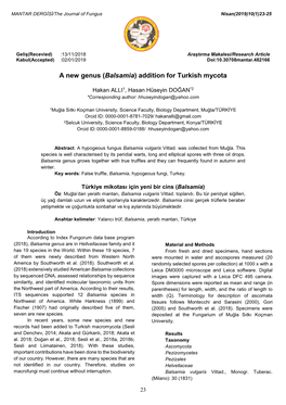 (Balsamia) Addition for Turkish Mycota