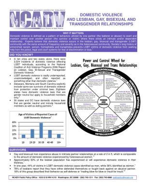 Domestic Violence and Lesbian, Gay, Bisexual and Transgender Relationships