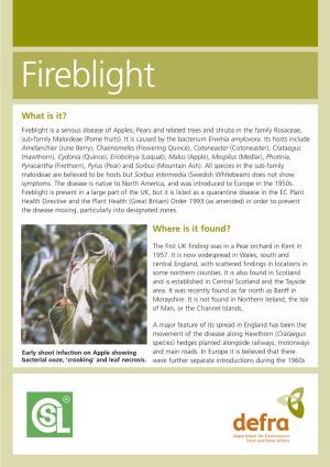 Fireblight Leaflet