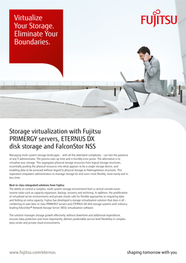 Storage Virtualization with Fujitsu PRIMERGY Serveres, ETERNUS DX Disk Storage and Falconstor