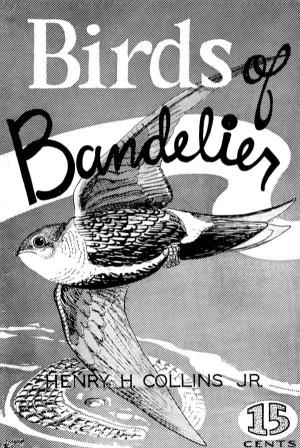 Birds of Bandelier