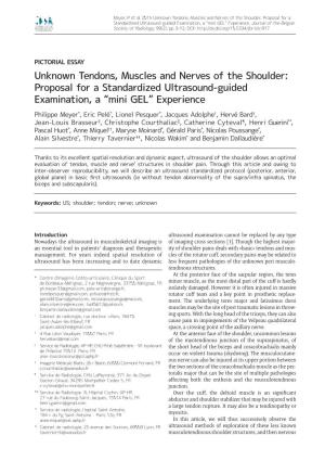 Unknown Tendons, Muscles and Nerves of the Shoulder: Proposal for a Standardized Ultrasound-Guided Examination, a “Mini GEL” Experience