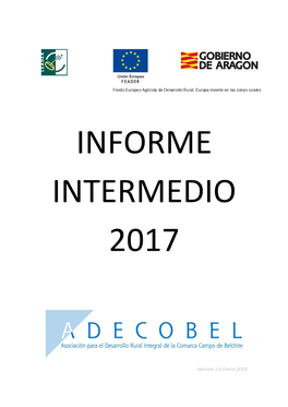 Informe Intermedio 2017