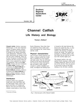 Channel Catfish Life History and Biology