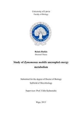 Study of Zymomonas Mobilis Uncoupled Energy Metabolism