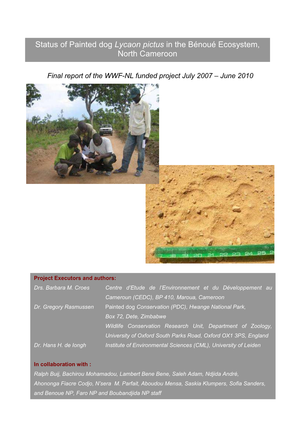 Status of Painted Dog Lycaon Pictus in the Bénoué Ecosystem, North Cameroon