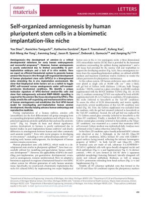Self-Organized Amniogenesis by Human Pluripotent Stem Cells in a Biomimetic Implantation-Like Niche