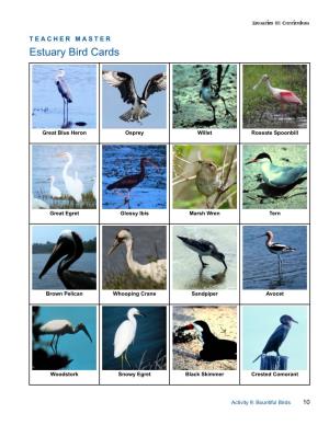 Estuary Bird Cards