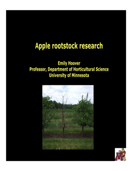 Apple Rootstock Research