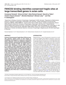 FANCD2 Binding Identifies Conserved Fragile Sites at Large Transcribed