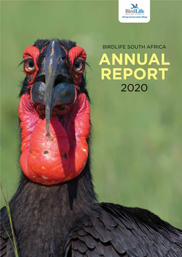 ANNUAL REPORT 2020 Contents 2 Chairman’S Statement