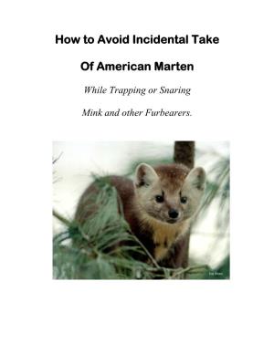How to Avoid Incidental Take of American Marten