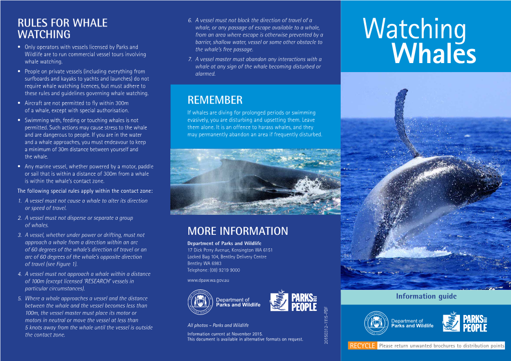 WATCHING WHALES Is White with Black Patterning, by Which Each Animal Can Be