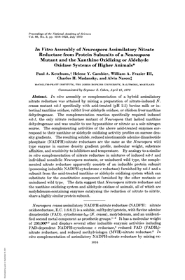 In Vitro Assembly of Neurospora Assimilatory Nitrate Reductase from Protein Subunits of a Neurospora