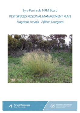 Eyre Peninsula NRM Board PEST SPECIES REGIONAL MANAGEMENT PLAN Eragrostis Curvula African Lovegrass