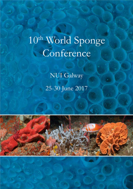 10Th World Sponge Conference