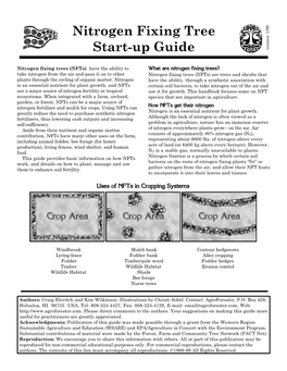 NFT Guide 1/99