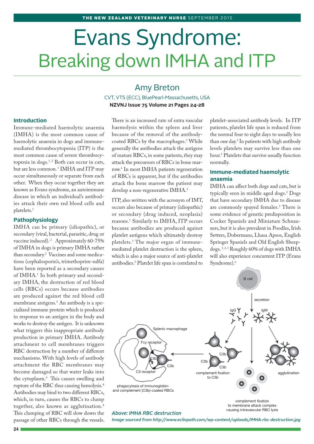 Evans Syndrome: Breaking Down IMHA and ITP