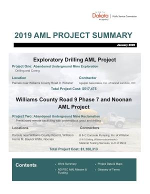 2019 Aml Project Summary