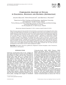 Comparative Anatomy of Ovules in Galinsoga, Solidago and Ratibida (Asteraceae)