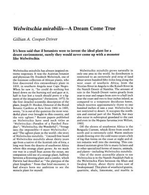 Welwitschia Mirabilis: a Dream Come True