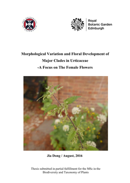 Morphological Variation and Floral Development of Major Clades in Urticaceae -A Focus on the Female Flowers