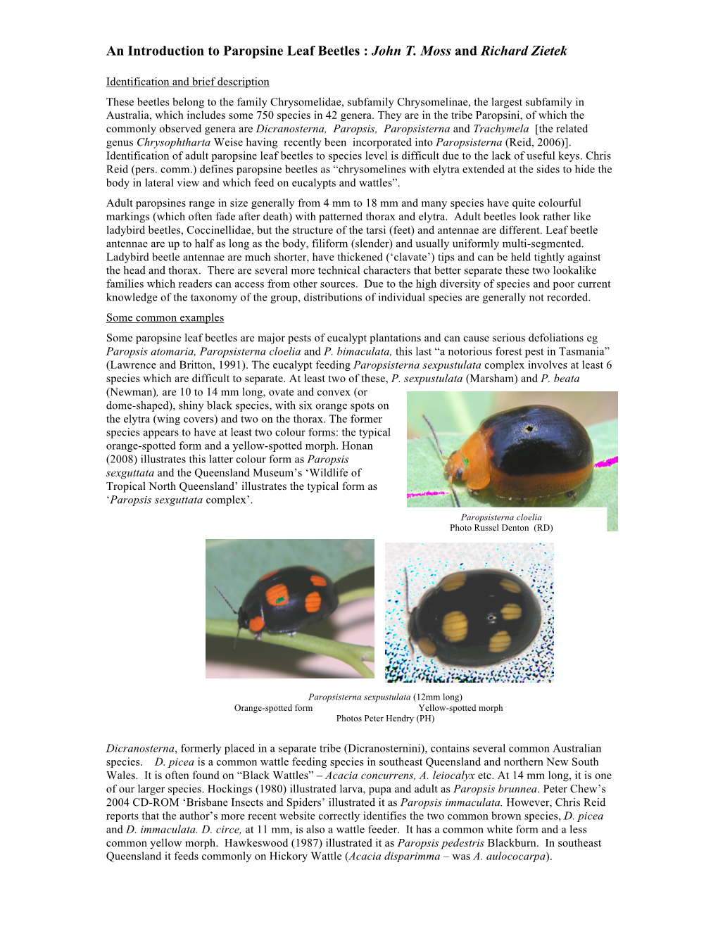 An Introduction to Paropsine Leaf Beetles : John T