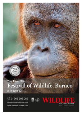 Borneo-Festival-Of-Wildlife-Itinerary