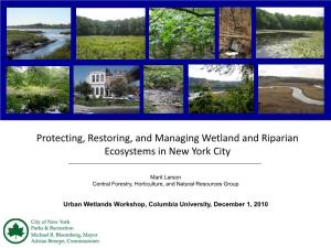 Protecting, Restoring, and Managing Wetland and Riparian Ecosystems in New York City