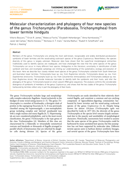 Molecular Characterization and Phylogeny of Four New Species of the Genus Trichonympha (Parabasalia, Trichonymphea) from Lower Termite Hindguts