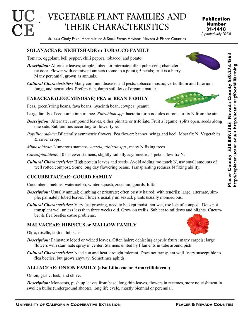 Vegetable Plant Families and Their Characteristics