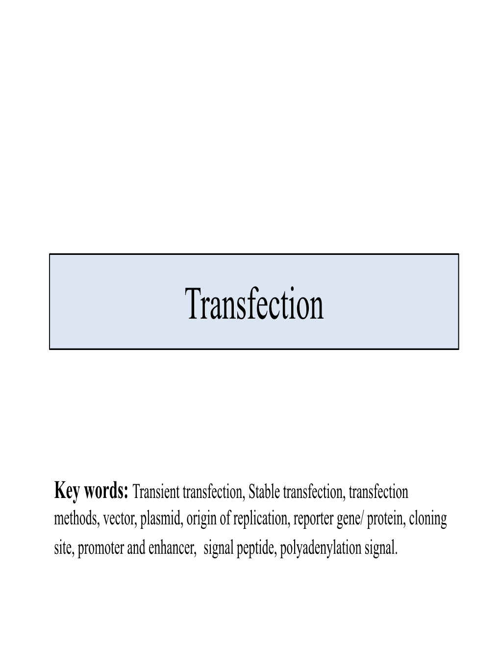 CHO Cell Transfection