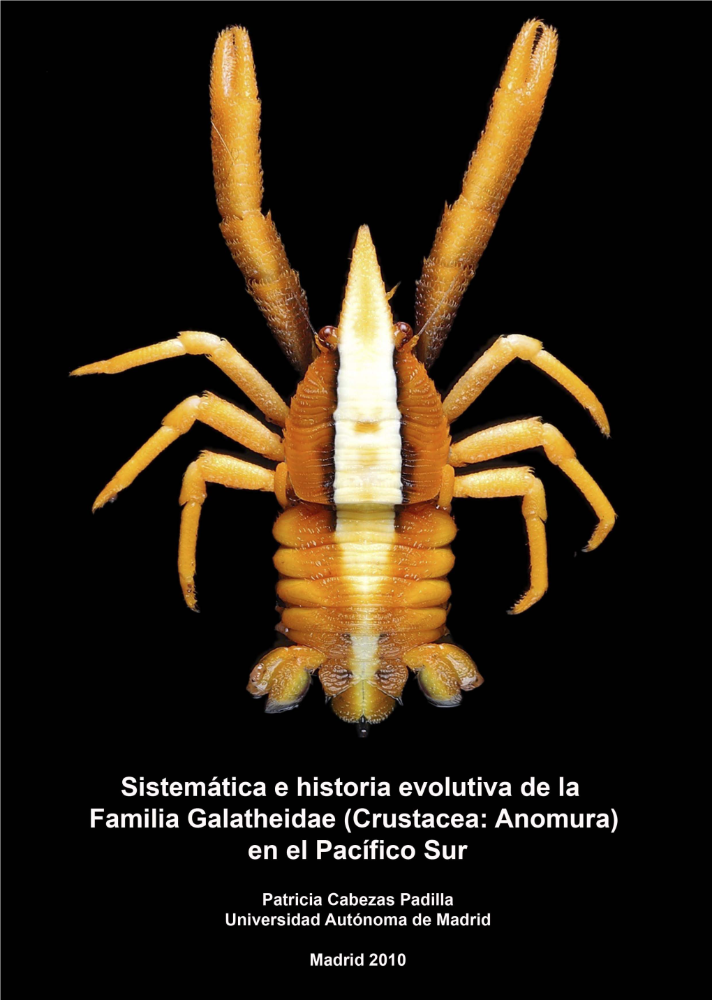 Crustacea: Decapoda: Galatheidae) from the Solomon and Fiji Islands (South-West Pacific)