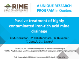 Passive Treatment of Highly Contaminated Iron-Rich Acid Mine Drainage C.M