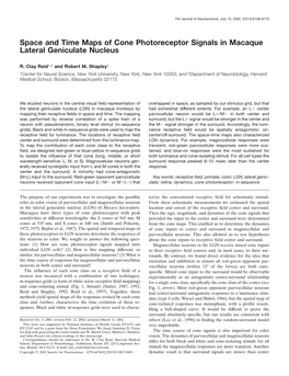 Space and Time Maps of Cone Photoreceptor Signals in Macaque Lateral Geniculate Nucleus