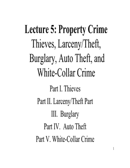 Lecture 5: Property Crime Thieves, Larceny/Theft, Burglary, Auto Theft, and White-Collar Crime Part I