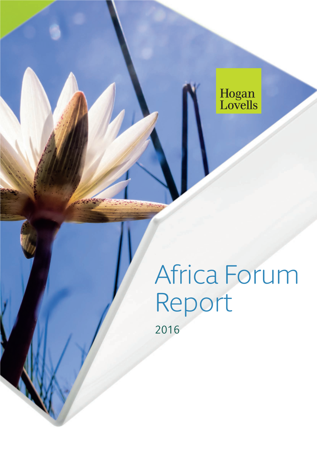 Africa Forum Report 2016 Contents