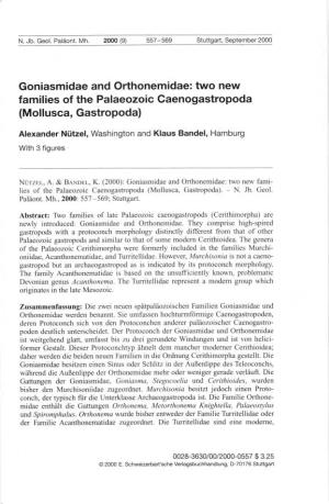 Families of the Palaeozoic Caenogastropoda (Mollusca, Gastropoda)