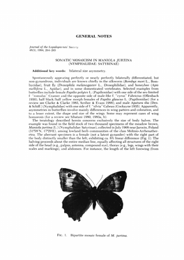 Somatic Mosaicism in Maniola Jurtina (Nymphalidae: Sa Tyrinae)