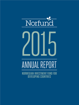 Norwegian Investment Fund for Developing Countries Directors' Report