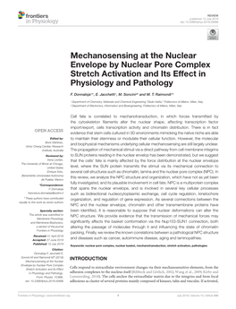 Mechanosensing at the Nuclear Envelope by Nuclear Pore Complex Stretch Activation and Its Effect in Physiology and Pathology