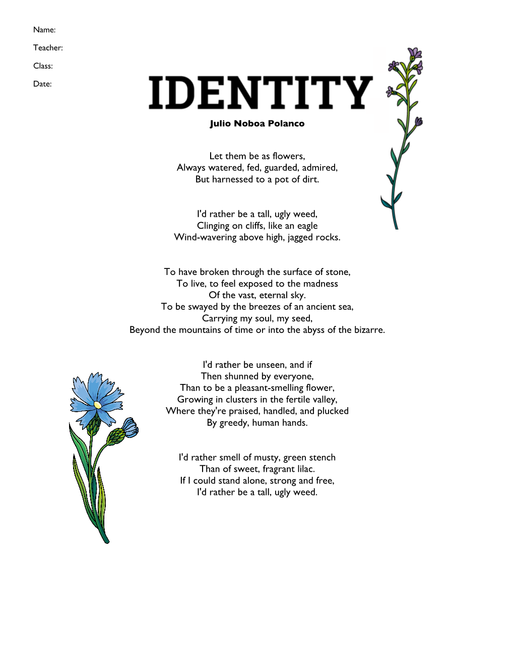 Identity,” Answer the Questions Below