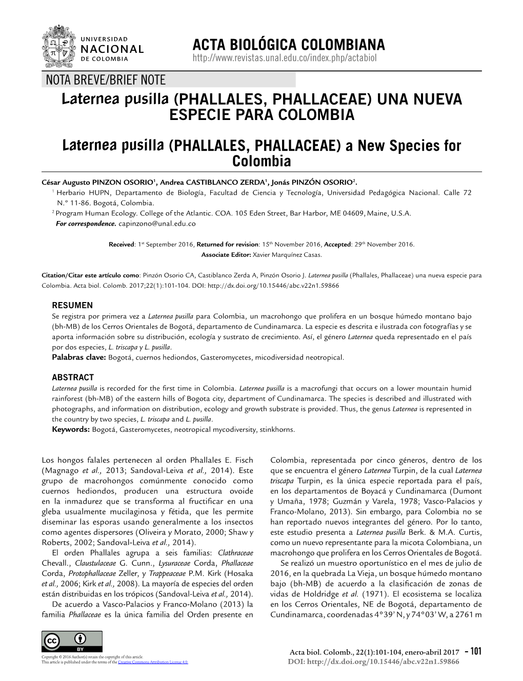 PHALLALES, PHALLACEAE) UNA NUEVA ESPECIE PARA COLOMBIA Laternea Pusilla (PHALLALES, PHALLACEAE) a New Species for Colombia