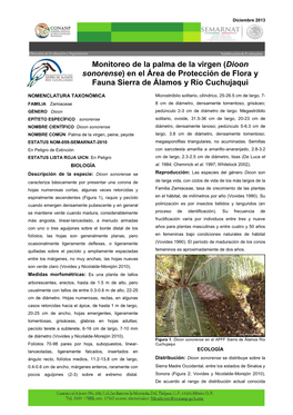 Monitoreo De La Palma De La Virgen (Dioon Sonorense) En El Área De Protección De Flora Y Fauna Sierra De Álamos Y Río Cuchujaqui