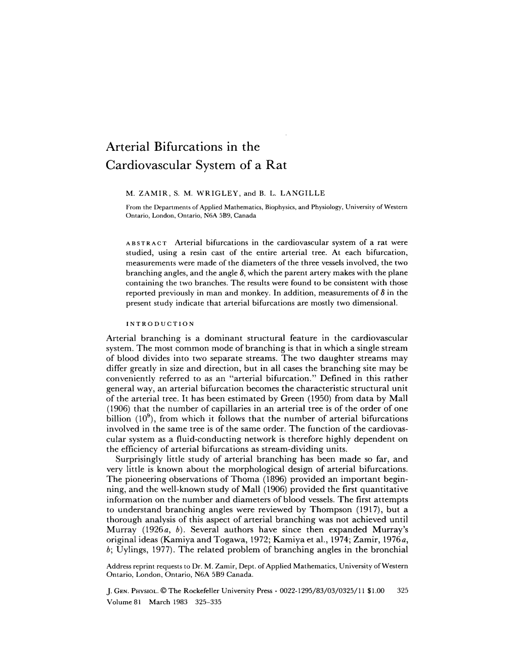 Arterial Bifurcations in the Cardiovascular System of a Rat