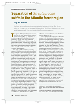 Separation of Streptoprocne Swifts in the Atlantic Forest Region Guy M
