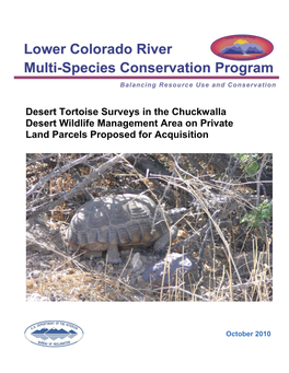 Desert Tortoise Surveys in the Chuckwalla Desert Wildlife Management Area on Private Land Parcels Proposed for Acquisitioj