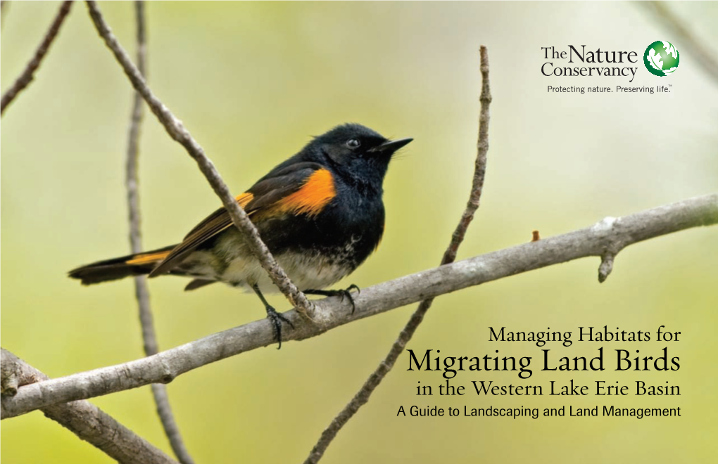 Managing Habitats for Migrating Land Birds in the Western Lake Erie Basin